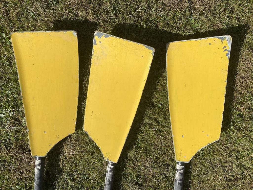 Croker Sculling Oars - S6 (Slick 40) & Schröder Oars (Braca) - Image 16